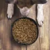 Foldable Bowl - Poppy
