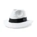 Hat - Teilor