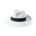 Hat - Teilor