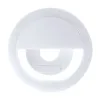 WHITE  +