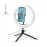 Ring Light with Tripod - Kristen