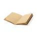 Notebook - Rayish
