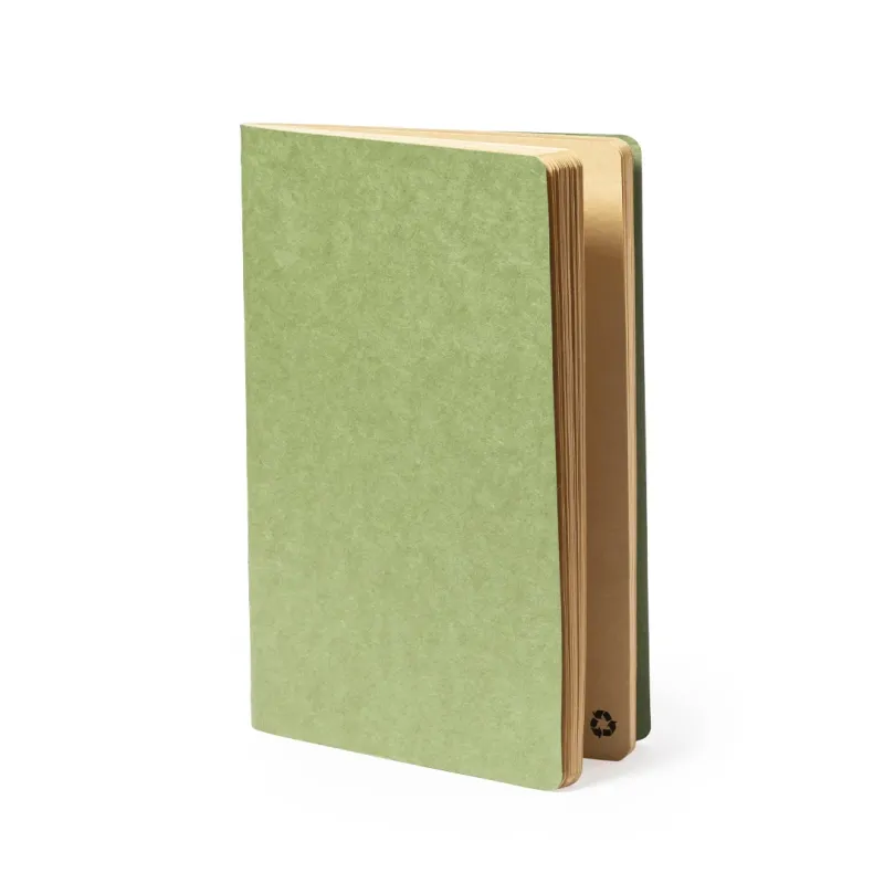 Notebook - Rayish