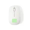 bottom of the mouse (2.5×2cm)  +