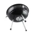 Barbecue - Mayrax