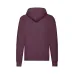 Adult Sweatshirt - Lightweight Hooded S
