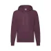 Adult Sweatshirt - Lightweight Hooded S