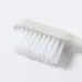 Toothbrush - Duncan