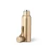 Insulated Bottle - Roach