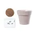 Flowerpot - Tumil