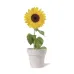 Flowerpot - Tumil