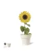 Flowerpot - Tumil