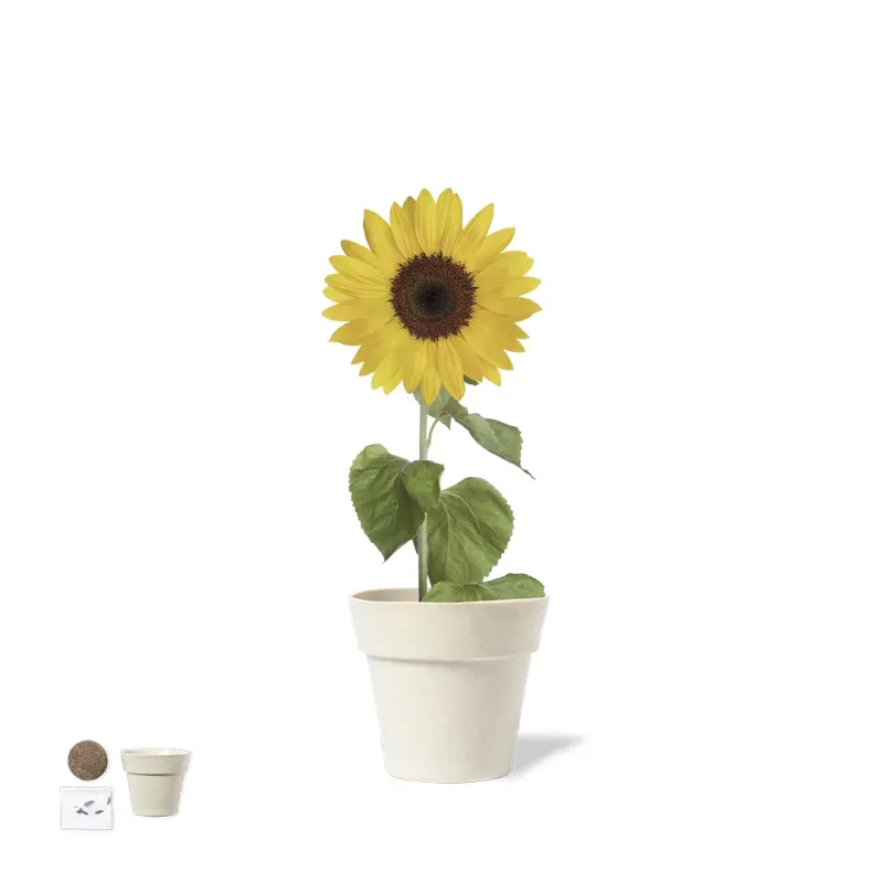 Flowerpot - Tumil