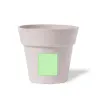 In the pot (2.2×2.5cm)  +