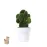 Flowerpot - Konte