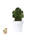 Flowerpot - Konte