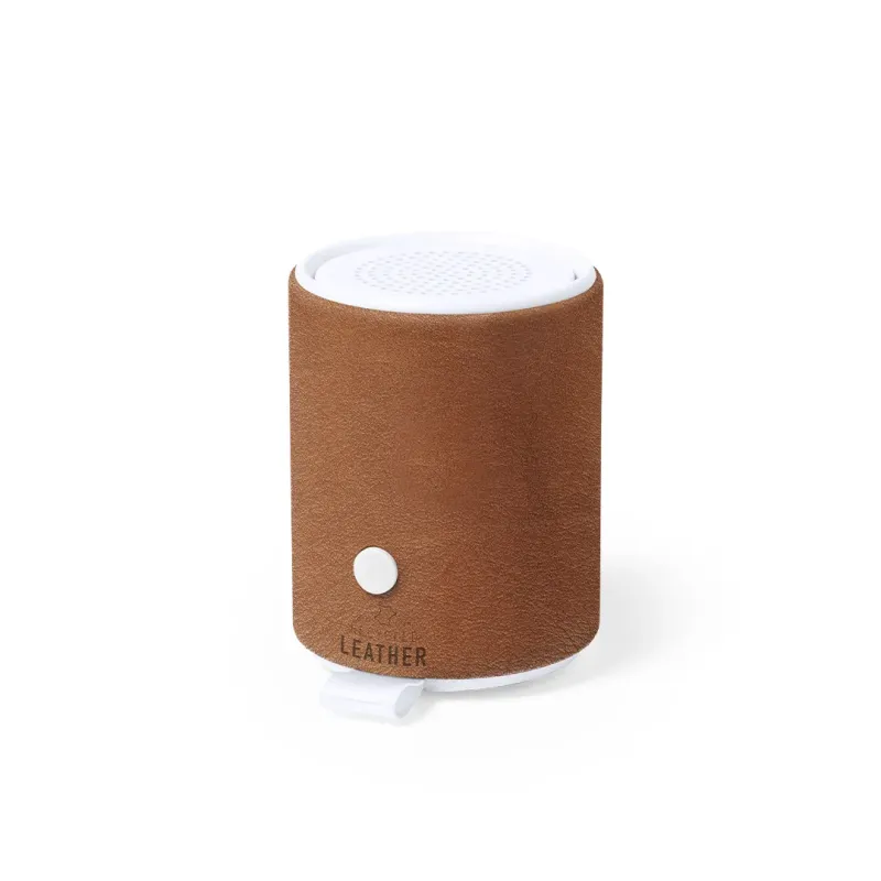 Speaker - Sotep RCS