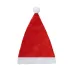 Christmas Hat - Coyfel