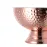 Champagne Bucket - Larch