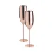Flute Glass Set - Gagax