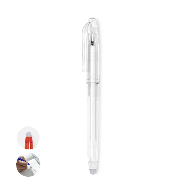 Erasable Pen - Ludrick