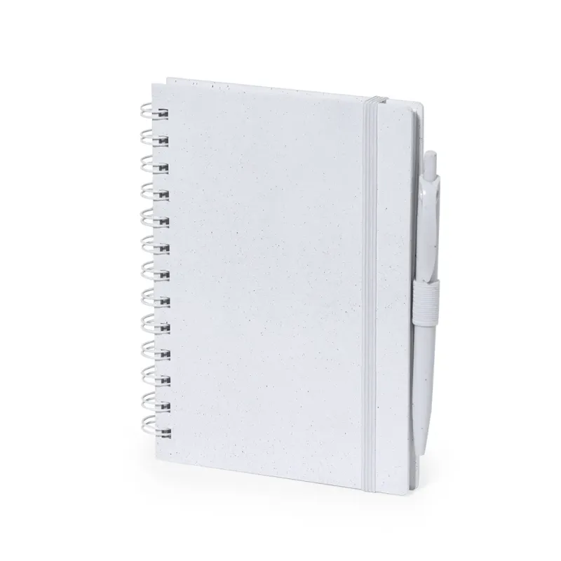 Notebook - Ciara