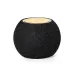 Charger Speaker - Cedric