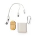 Charging Cable - Brayce