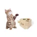 Pets Game - Kesel