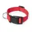 Pet Collar - Mastif
