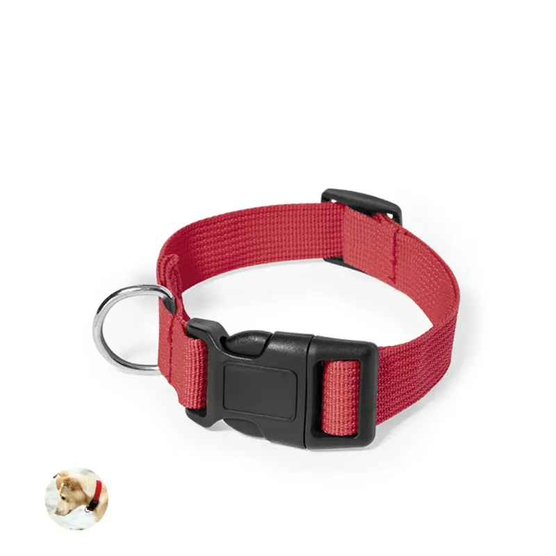 Pet Collar - Mastif