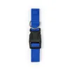 BLUE  +