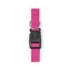 FUCHSIA  +