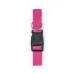 Pet Collar - Mastif