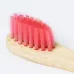 Toothbrush - Becu