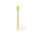 Toothbrush - Becu
