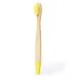 Toothbrush - Becu