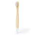 Toothbrush - Becu
