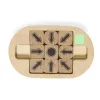 Area 5 (1.3×1.3cm)  +