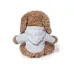 Teddy - Chamox