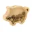 Money Box - Jasara