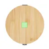 Area 5 (2.4×2.4cm)  +