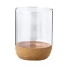 TRANSPARENT  +