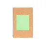 Area 3 (4.5×5.5cm)  +