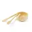 Facial Mask Set - Iringu