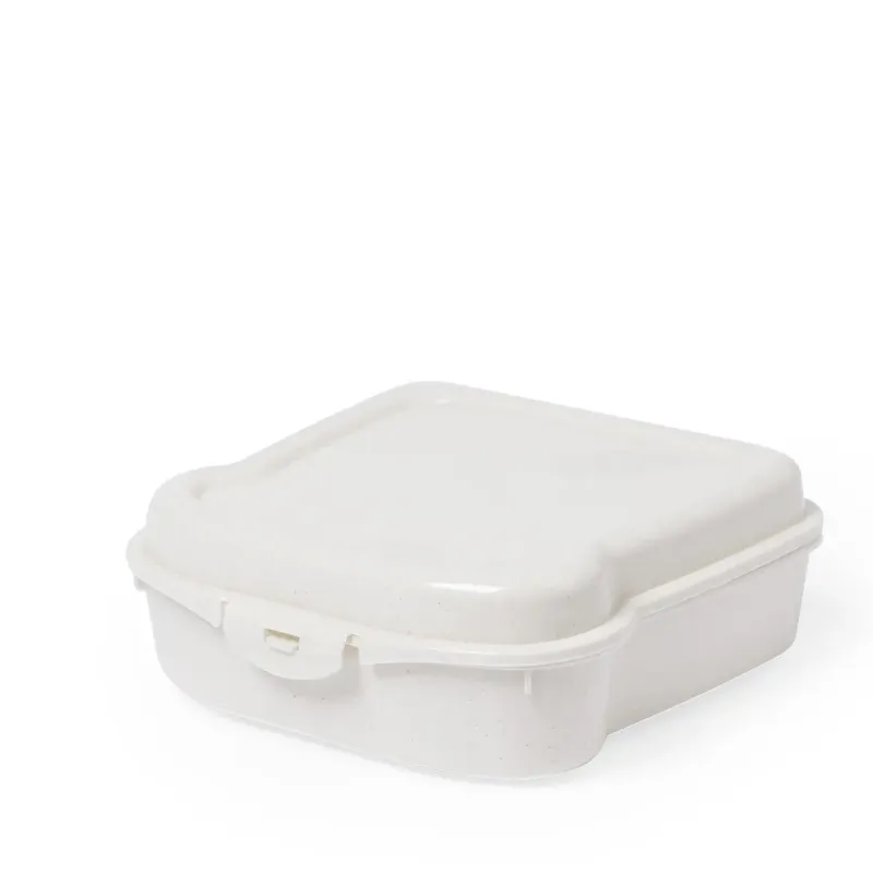 Sandwich Lunch Box - Tixor