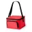 Cool Bag - Radant