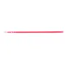 FUCHSIA  +