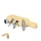 Wine Set - Darini