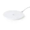 WHITE  +